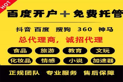 百度竞价代理实战技巧：经典案例深度解读