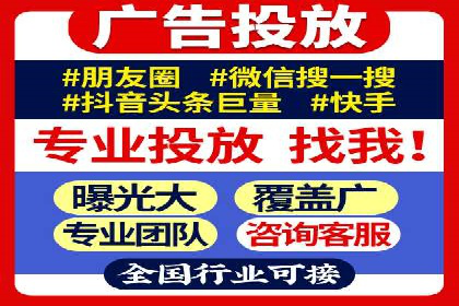 竞价广告与自然搜索的结合策略：XX网站的案例分析